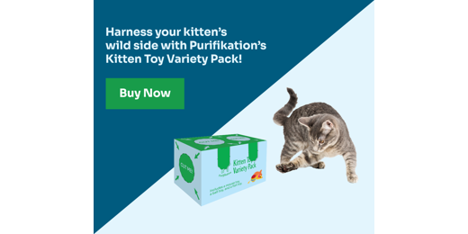 This image is a rectangular display advertisement. Two triangles make upper-alpha
			this image's background. The top left half is a dull dark blue, whereas the bottom right
			half is an off-white color with a blue tint. 
			
			The dark triangle contains the sans-serif words: Harness you kitten's wild side with 
			Purifikation's Kitten Toy Variety Pack! 
			
			And below that text is a green button with white text that says: Buy Now.
			
			Slightly overlapping the dark triangle, but mostly residing in the light triangle, is a 
			rectangular box shown in a three quarters view. On the front side are two green paws 
			overlapping where
			triangles containing the word, OPEN on them in a white, sans-serif font would 
			normally be visible. Just
			below that is Purfikation's logo, and to the right of it is the phrase Kitten
			Toy Variety Pack. Both are partially covered by the green paw flaps.
			 
			Towards the bottom of this font side is a block of text that says, Includes a mouse
			toy, a ball toy, and a fish toy. 
			 
			To the far right of it is an image depicting a mouse toy, a fish toy, and a ball 
			toy clumped together. The background of this front side is a dull light blue.
			 
			The rectangle on top has a green background. There are two, dull light blue circles 
			with the green text CUT ME! in the middle, as well as a dotted black border surrounding
			each circle. Each circle also has four, dull light blue, diagonally angled arrows
			pointing towards them.
			 
		    The last visible side has a dull light blue background. There is one, green circle
			with the dull light blue text CUT ME! in the middle, as well as a dotted black border surrounding
			the circle. The circle also has four green diagonally angled arrows
			pointing towards them.
			
			Next to this box is a playtful brown kitten who is reaching out towards the box.